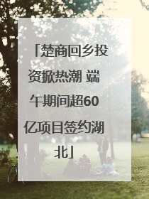 楚商回乡投资掀热潮 端午期间超60亿项目签约湖北