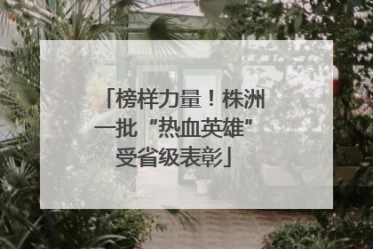 榜样力量！株洲一批“热血英雄”受省级表彰