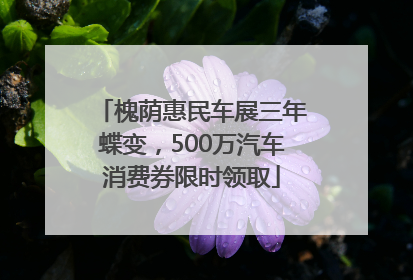 槐荫惠民车展三年蝶变，500万汽车消费券限时领取