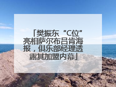 樊振东“C位”亮相萨尔布吕肯海报，俱乐部经理透露其加盟内幕