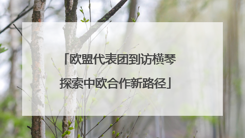 欧盟代表团到访横琴 探索中欧合作新路径