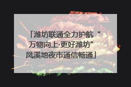 潍坊联通全力护航“万物向上·更好潍坊”凤溪地夜市通信畅通