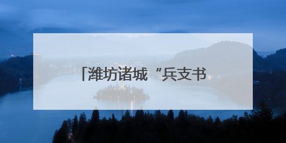 潍坊诸城“兵支书”李炜：让村民在家门口实现“就业”