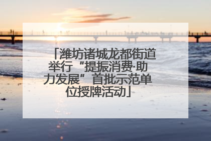 潍坊诸城龙都街道举行“提振消费·助力发展”首批示范单位授牌活动
