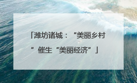 潍坊诸城：“美丽乡村”催生“美丽经济”