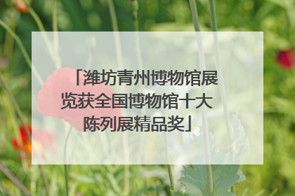 潍坊青州博物馆展览获全国博物馆十大陈列展精品奖