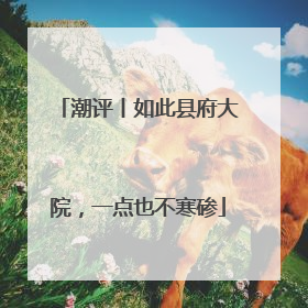 潮评丨如此县府大院，一点也不寒碜