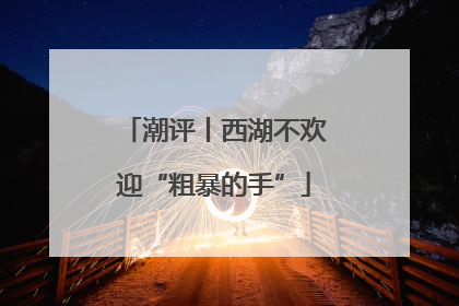 潮评丨西湖不欢迎“粗暴的手”