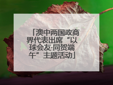 澳中两国政商界代表出席“以球会友·同贺端午”主题活动
