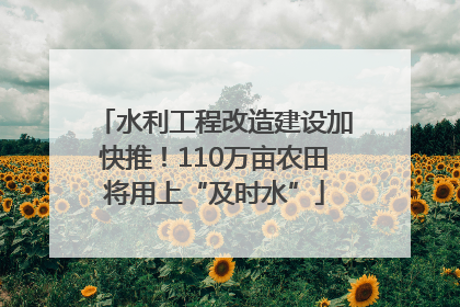水利工程改造建设加快推！110万亩农田将用上“及时水”