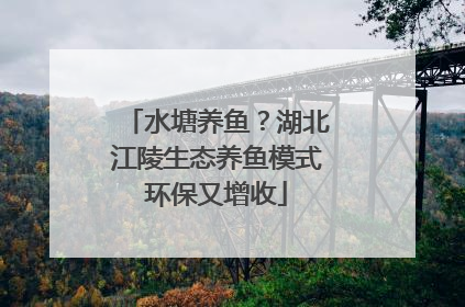 水塘养鱼？湖北江陵生态养鱼模式环保又增收