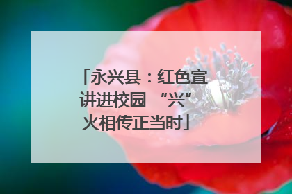 永兴县：红色宣讲进校园 “兴”火相传正当时