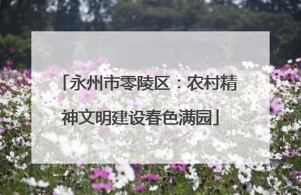 永州市零陵区：农村精神文明建设春色满园