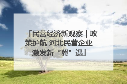 民营经济新观察|政策护航 河北民营企业激发新“冀”遇