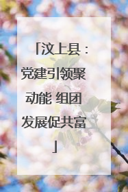 汶上县：党建引领聚动能 组团发展促共富
