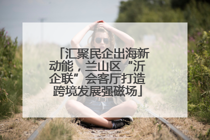 汇聚民企出海新动能，兰山区“沂企联”会客厅打造跨境发展强磁场