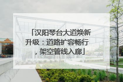 汉阳琴台大道焕新升级：道路扩容畅行，架空管线入廊