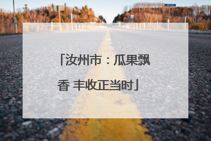 汝州市：瓜果飘香 丰收正当时