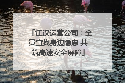 江汉运营公司：全员查找身边隐患 共筑高速安全屏障