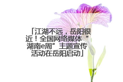 江湖不远，岳阳很近！全国网络媒体“湖南e周”主题宣传活动在岳阳启动