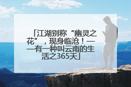 江湖别称“幽灵之花”，现身临沧！——有一种叫云南的生活之365天