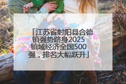 江苏省射阳县合德镇强势跻身2025镇域经济全国500强，排名大幅跃升