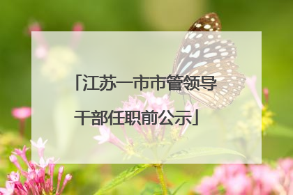 江苏一市市管领导干部任职前公示