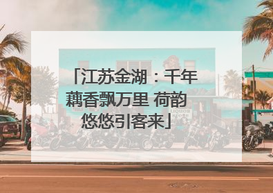 江苏金湖：千年藕香飘万里 荷韵悠悠引客来