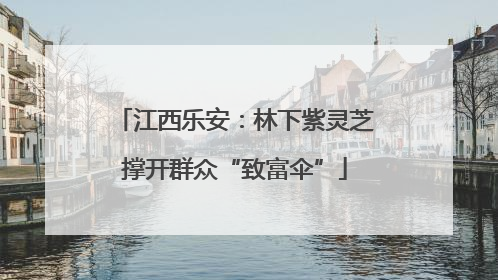 江西乐安：林下紫灵芝撑开群众“致富伞”