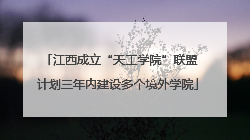 江西成立“天工学院”联盟 计划三年内建设多个境外学院
