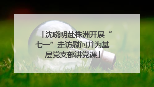 沈晓明赴株洲开展“七一”走访慰问并为基层党支部讲党课