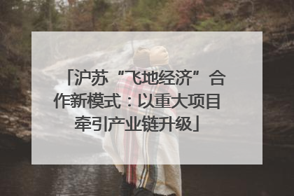 沪苏“飞地经济”合作新模式：以重大项目牵引产业链升级