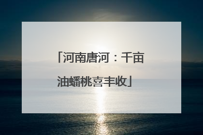 河南唐河：千亩油蟠桃喜丰收
