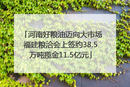 河南好粮油迈向大市场 福建粮洽会上签约38.5万吨揽金11.5亿元
