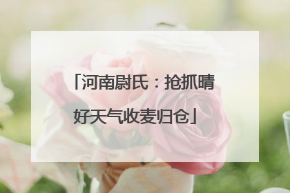 河南尉氏：抢抓晴好天气收麦归仓