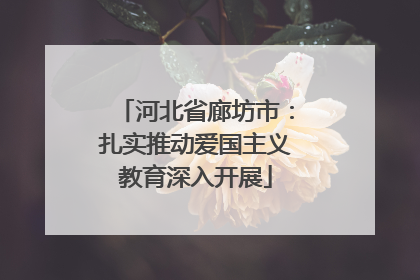 河北省廊坊市：扎实推动爱国主义教育深入开展
