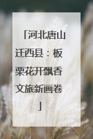 河北唐山迁西县：板栗花开飘香文旅新画卷