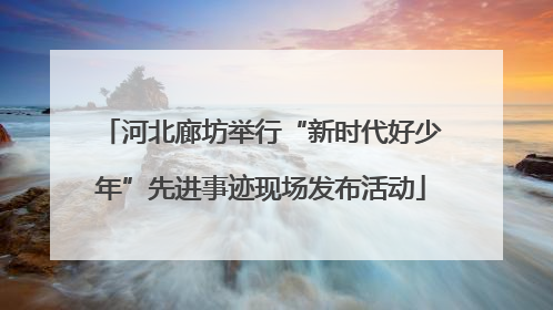 河北廊坊举行“新时代好少年”先进事迹现场发布活动