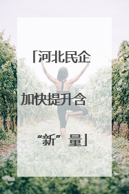 河北民企加快提升含“新”量