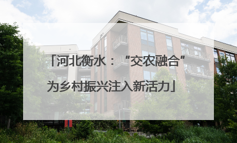 河北衡水：“交农融合”为乡村振兴注入新活力