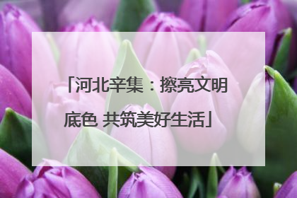 河北辛集:擦亮文明底色 共筑美好生活