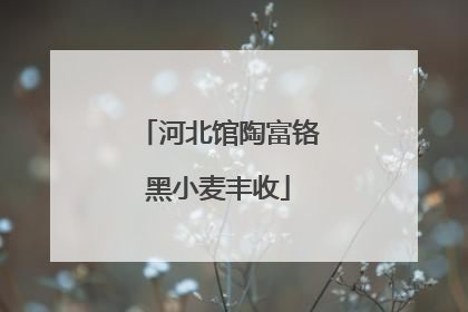河北馆陶富铬黑小麦丰收