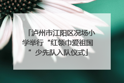 泸州市江阳区况场小学举行“红领巾爱祖国”少先队入队仪式