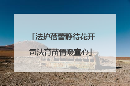 法护蓓蕾静待花开 司法育苗情暖童心