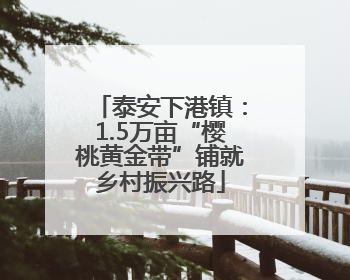 泰安下港镇：1.5万亩“樱桃黄金带”铺就乡村振兴路