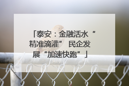 泰安：金融活水“精准滴灌” 民企发展“加速快跑”