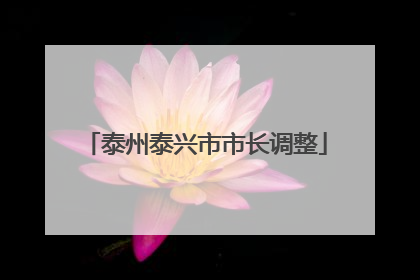 泰州泰兴市市长调整