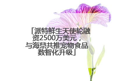 派特鲜生天使轮融资2500万美元，与海鼎共推宠物食品数智化升级