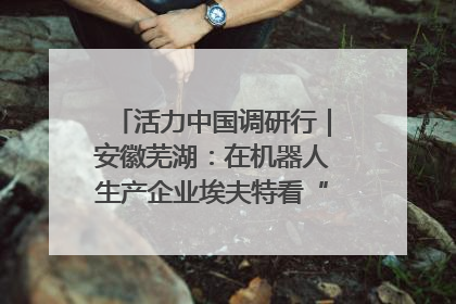 活力中国调研行｜安徽芜湖：在机器人生产企业埃夫特看“中国智造”