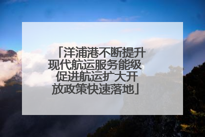 洋浦港不断提升现代航运服务能级 促进航运扩大开放政策快速落地